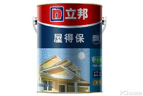 家裝涂料選購(gòu)指南 網(wǎng)購(gòu)注意事項(xiàng)與熱門(mén)品牌推薦